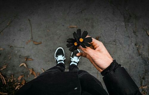 Woman holding black daisy after divorce