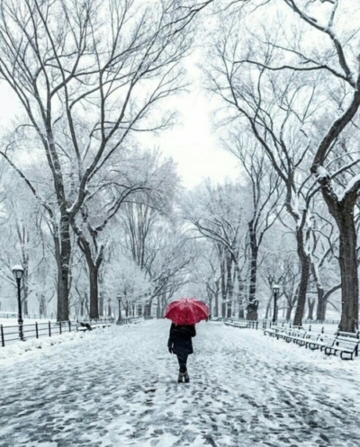 SAS Winter Walk in Central Park