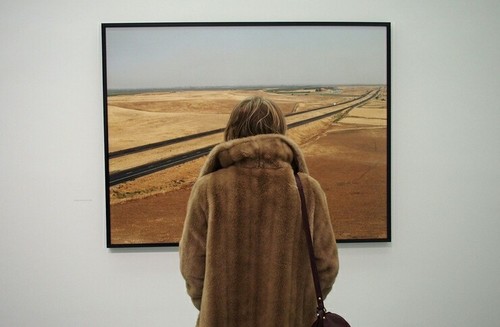 Woman looking at painting