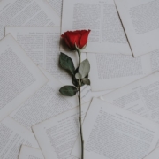 Divorce decree