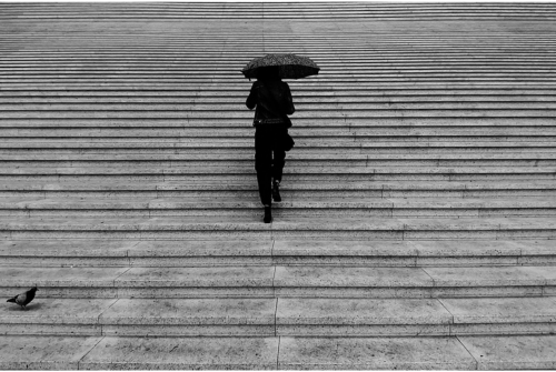 A woman walking alone up wide stone steps under an umbrella, symbolizing the emotional weight and uncertainty of contemplating divorce.